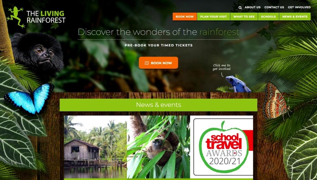 image of and link to the Living Rainforest website