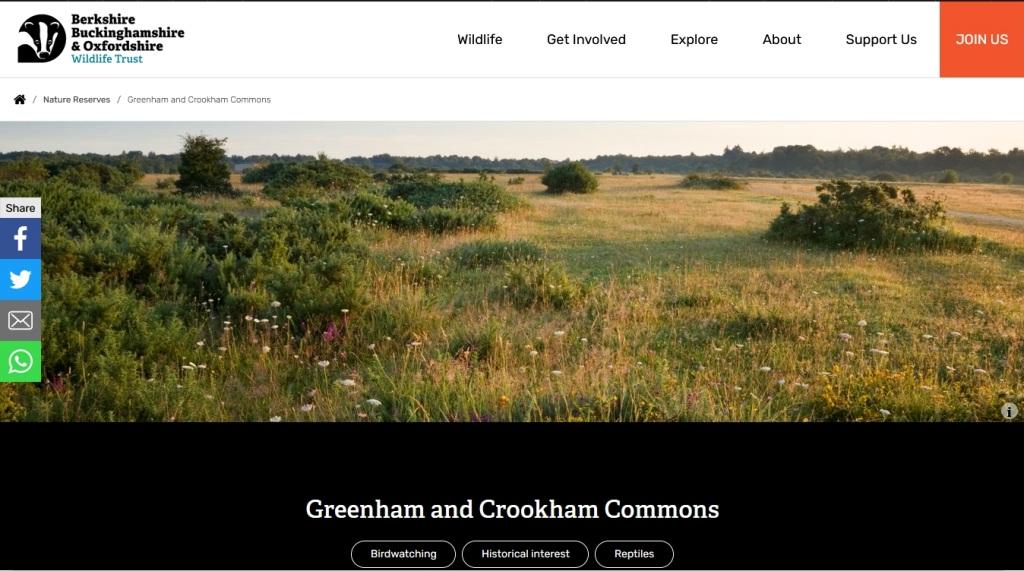 image of and link to the Greenham and Crookham Commons website